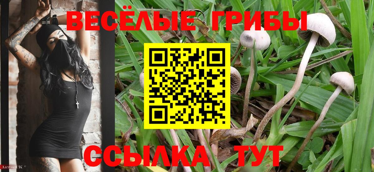 Псилоцибиновые грибы Magic Shrooms Миасс