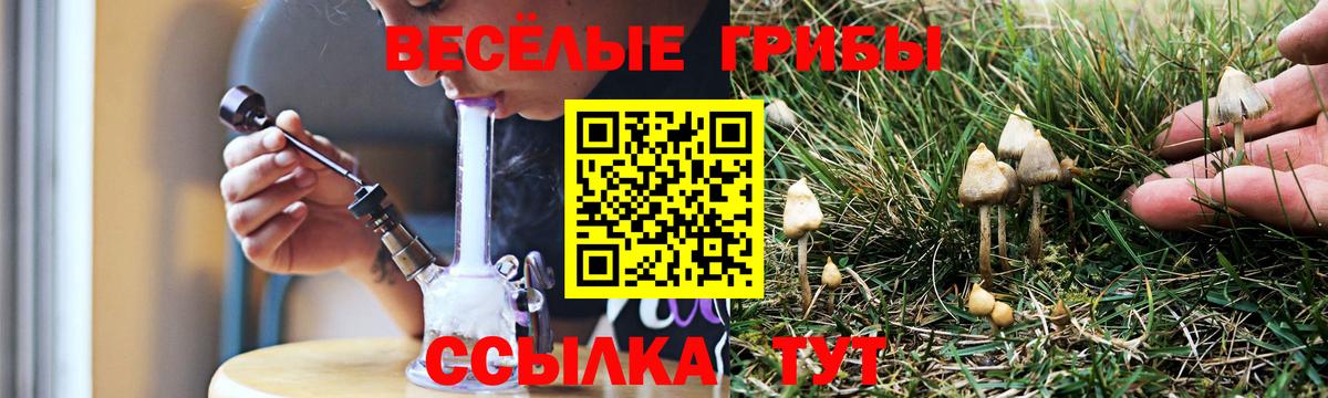 Псилоцибиновые грибы Cubensis  Вход с VPN  Миасс  Галлюциногенные грибы ЛСД 